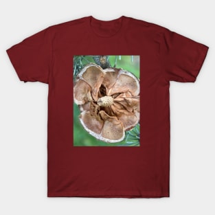 Faded picea cone T-Shirt